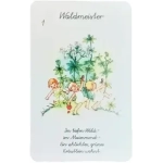 Quartett Heilkräuter