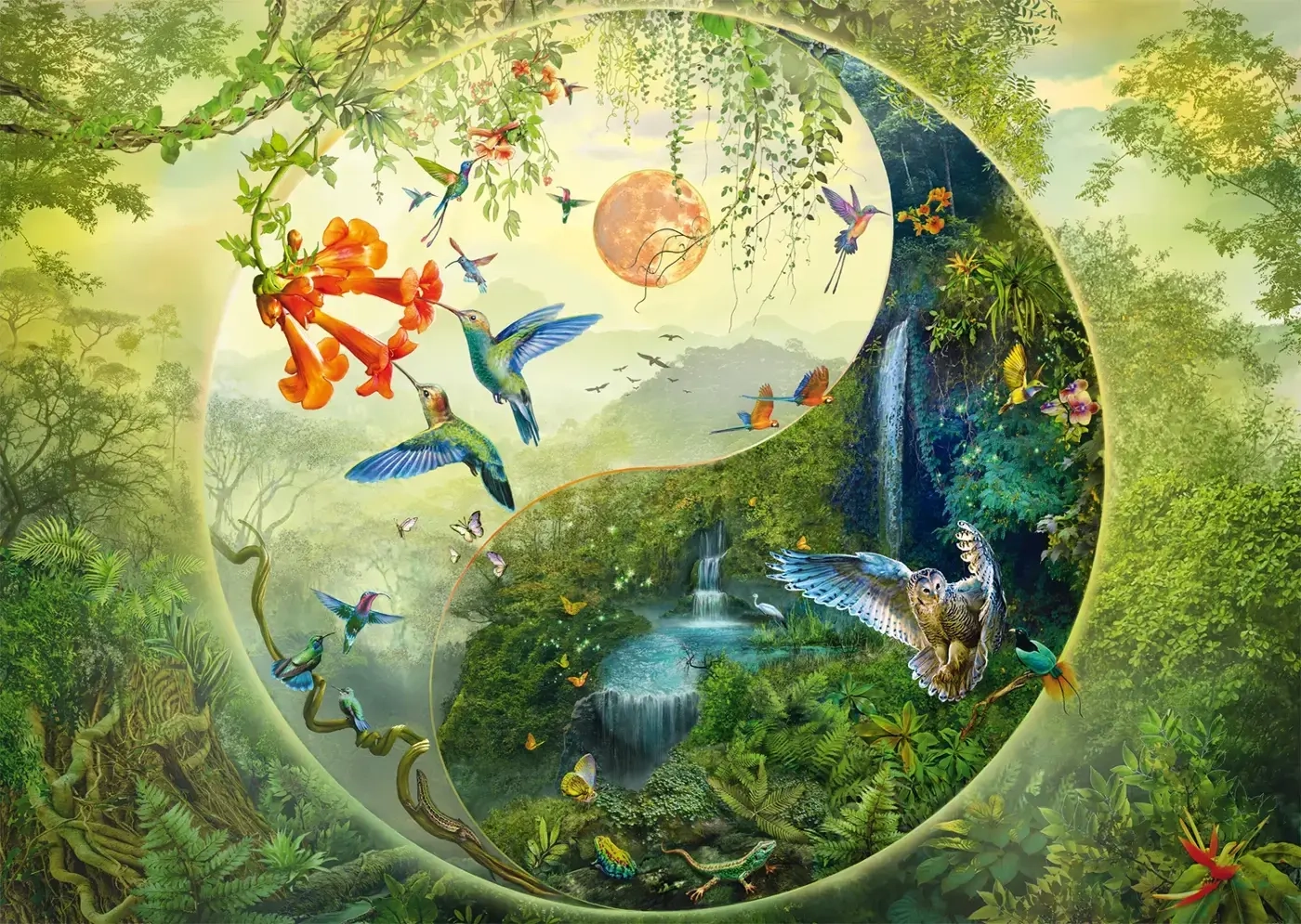 Yin & Yang - Im Wald der Kolibris