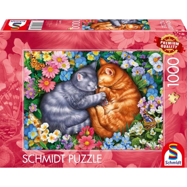 Schlafende Samtpfoten Schlafende Samtpfoten