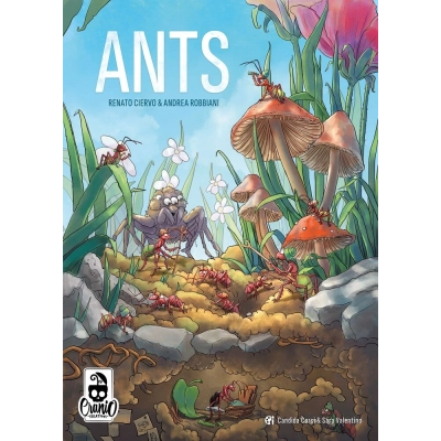 Ants - EN