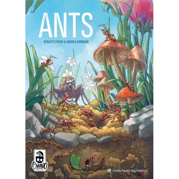 Ants - EN
