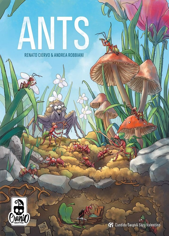 Ants - EN