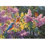 Frühlingsintermezzo