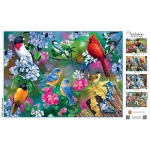 Songbird Collage - Audubon
