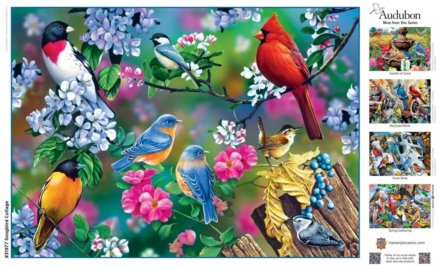 Songbird Collage - Audubon
