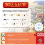 Market Square - Seek & Find