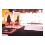 Fate of Witches - EN