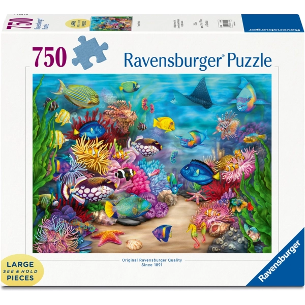 Tropisches Riffleben