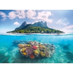 Insel und Korallenwelt