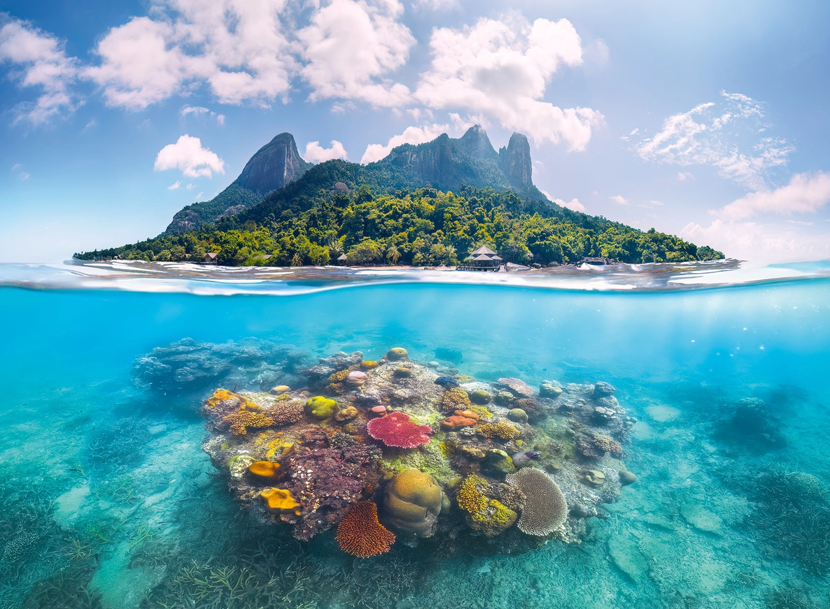 Insel und Korallenwelt