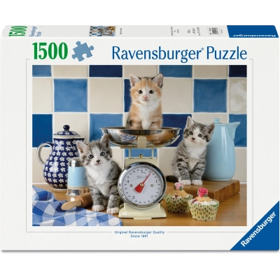 Kätzchen in der Küche