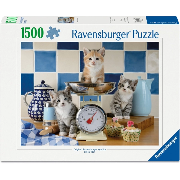 Kätzchen in der Küche