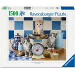 Kätzchen in der Küche