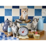 Kätzchen in der Küche