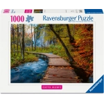 Herbstlicher Waldweg