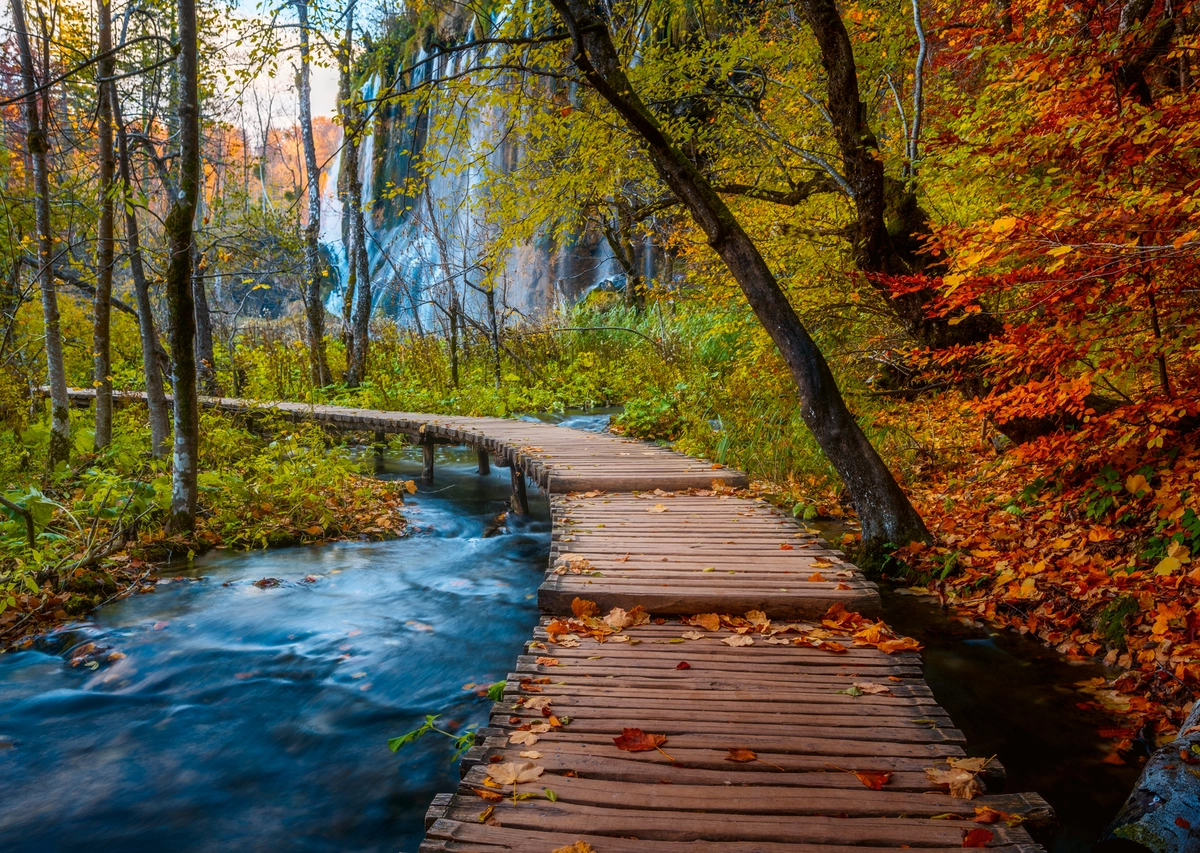 Herbstlicher Waldweg