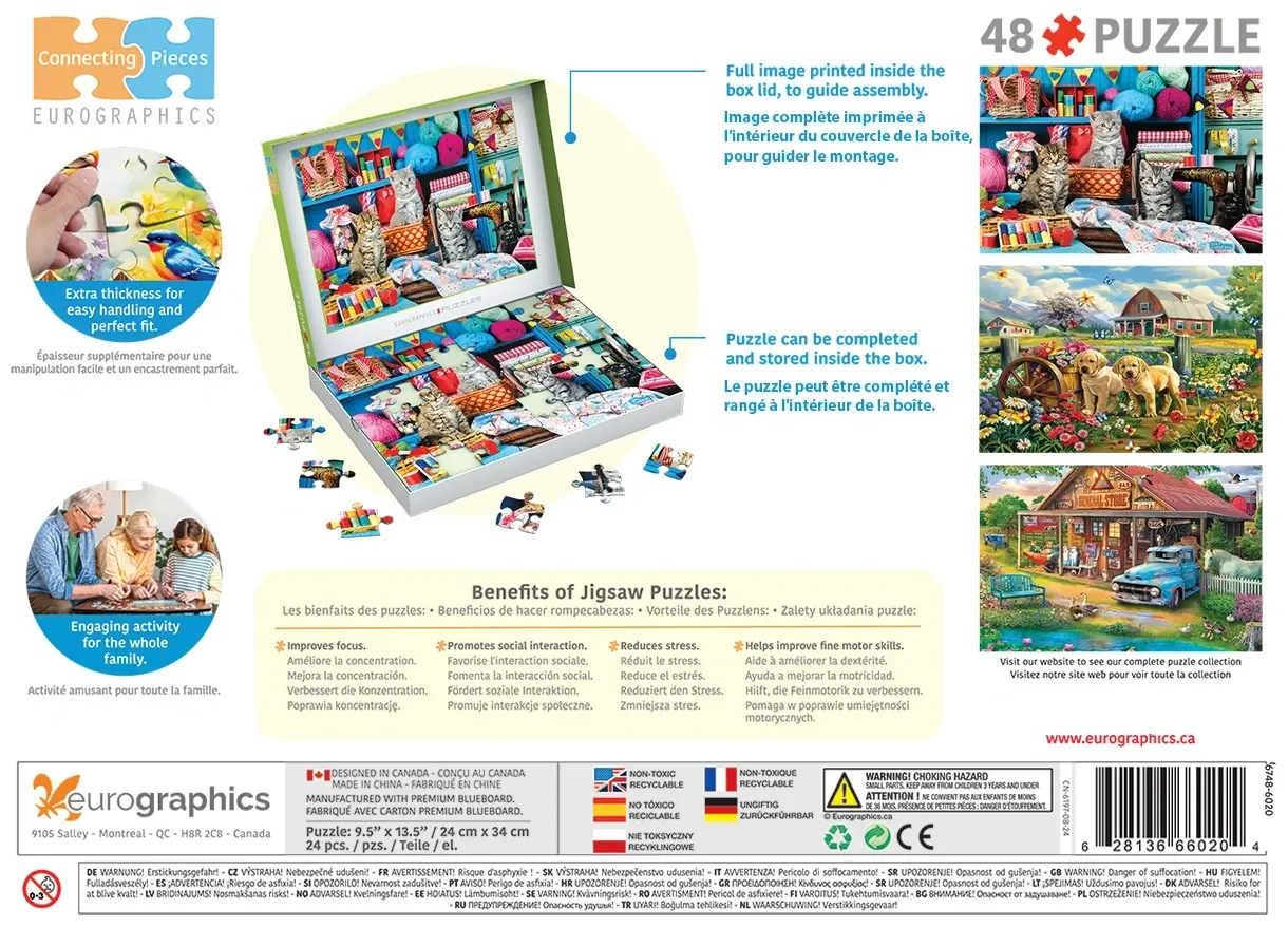 Kätzchen im Nähzimmer