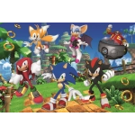 Sonic und Freunde