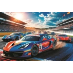 Schneller Rennfahrer