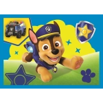 4 Puzzles - Welpen laufen lassen