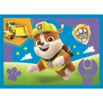 4 Puzzles - Welpen laufen lassen