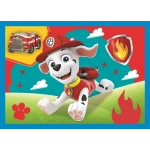 4 Puzzles - Welpen laufen lassen