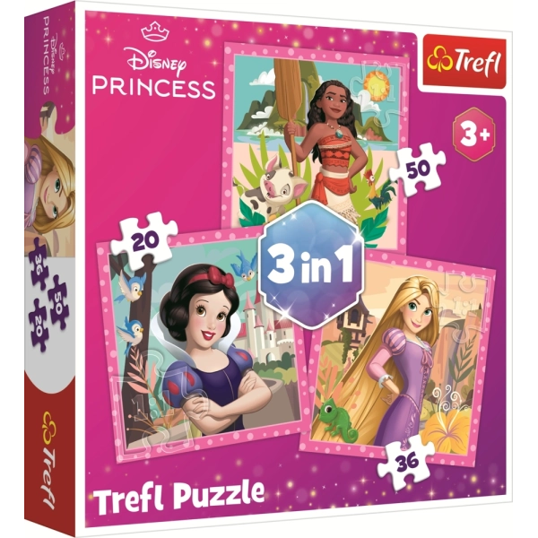 3 Puzzles - Disney Princess