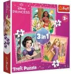 3 Puzzles - Disney Princess