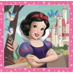 3 Puzzles - Disney Princess