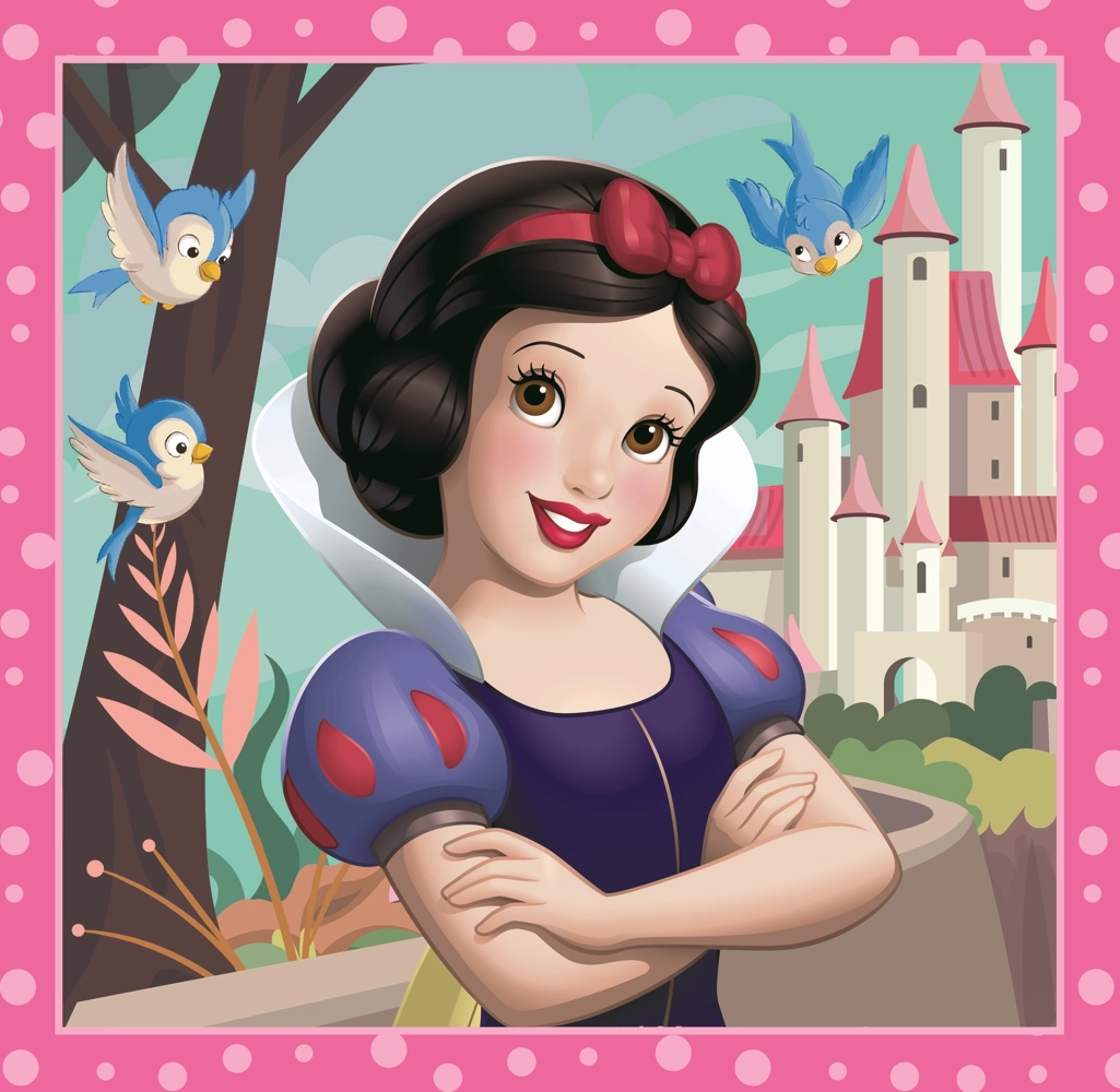 3 Puzzles - Disney Princess