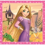 3 Puzzles - Disney Princess