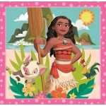 3 Puzzles - Disney Princess