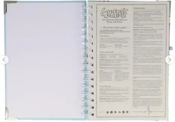 Dungeons & Kittens Spiral Notebook