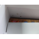 The Isle of Cats - EN (Leicht defekte Verpackung)