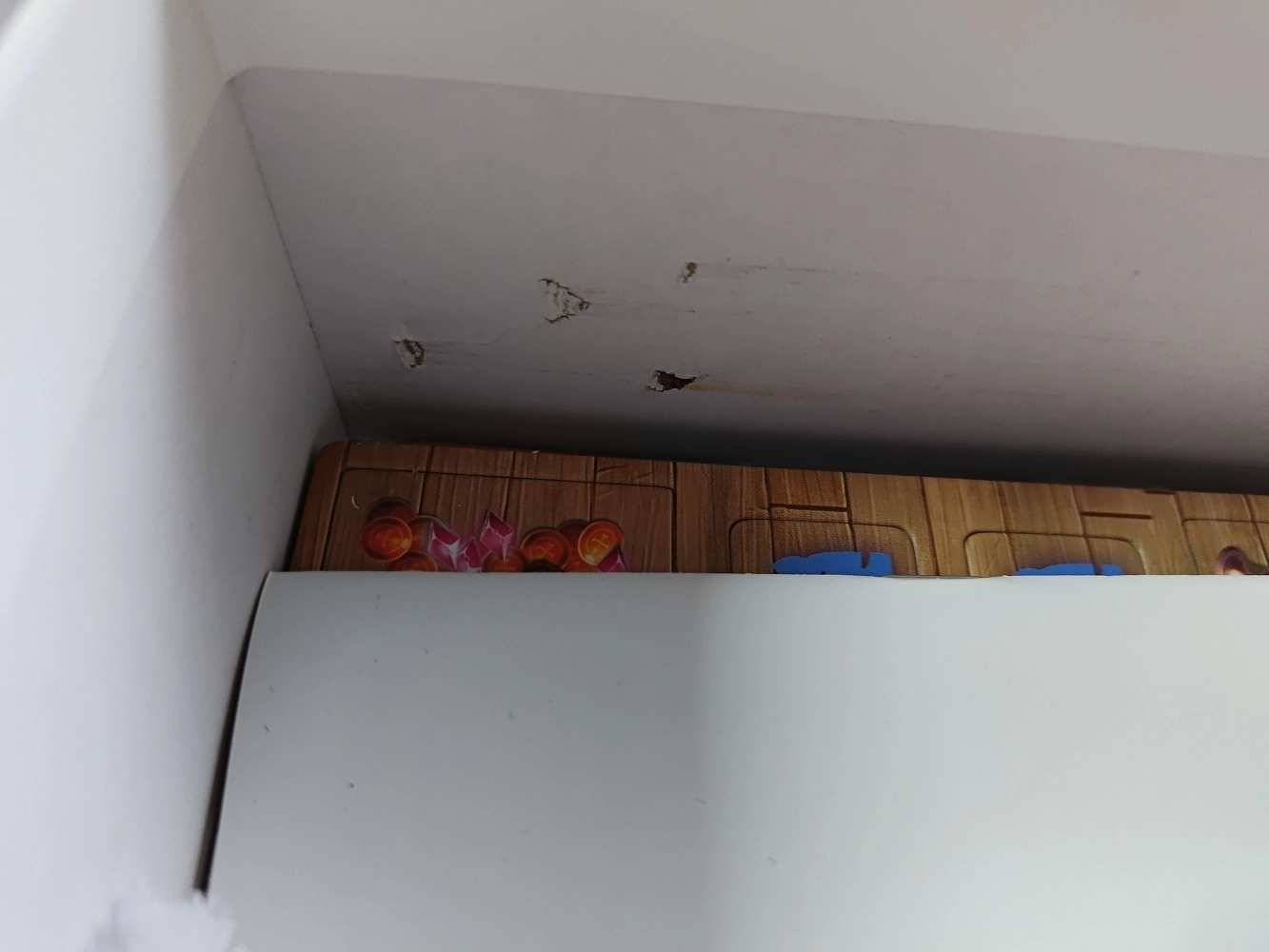 The Isle of Cats - EN (Leicht defekte Verpackung)