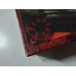 Witchcraft (Leicht defekte Verpackung)