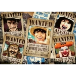 One Piece - Wanted!