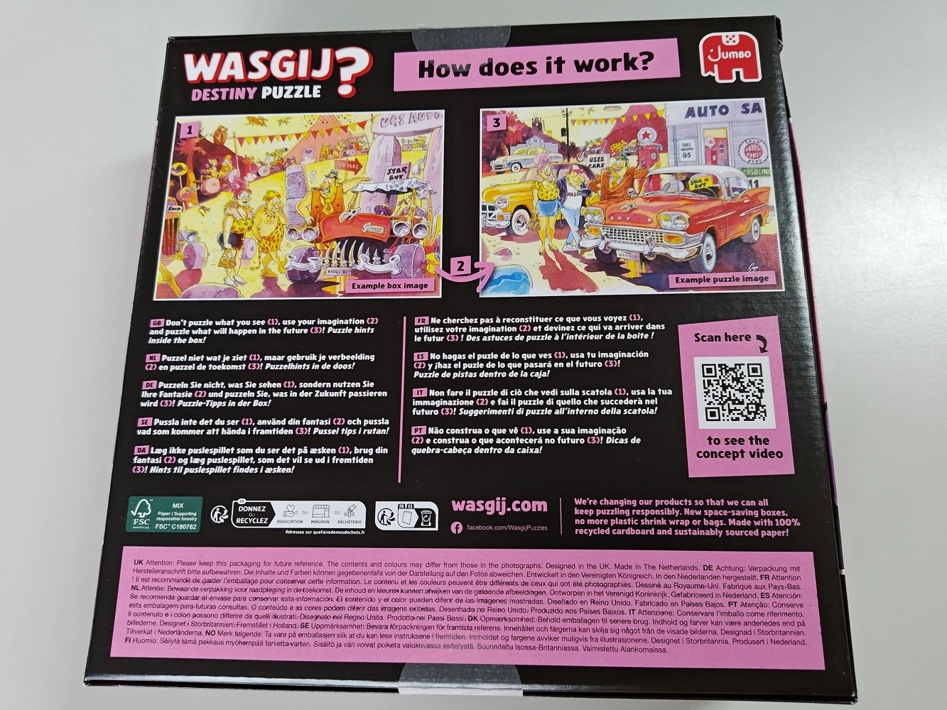 Spieleabend! - Wasgij Destiny 25 (Defekte Verpackung)