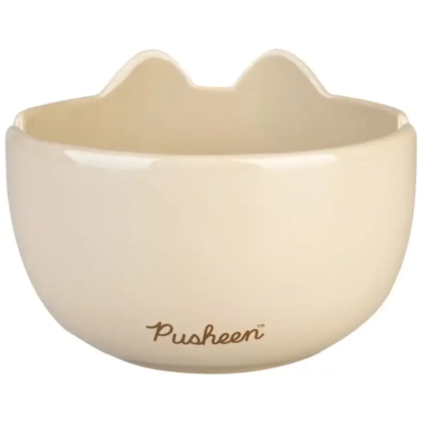 Pusheen Ramen-Schüssel
