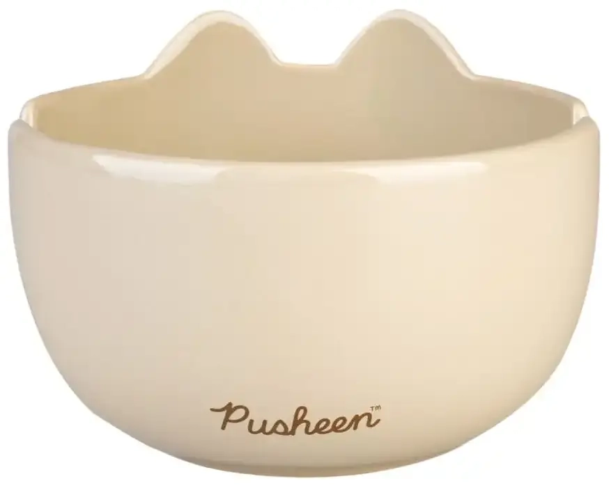 Pusheen Ramen-Schüssel