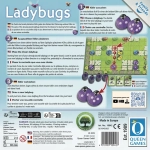 Ladybugs