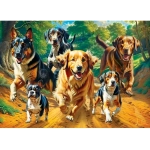 Hidden Images - Trailrunning - Glow in the Dark