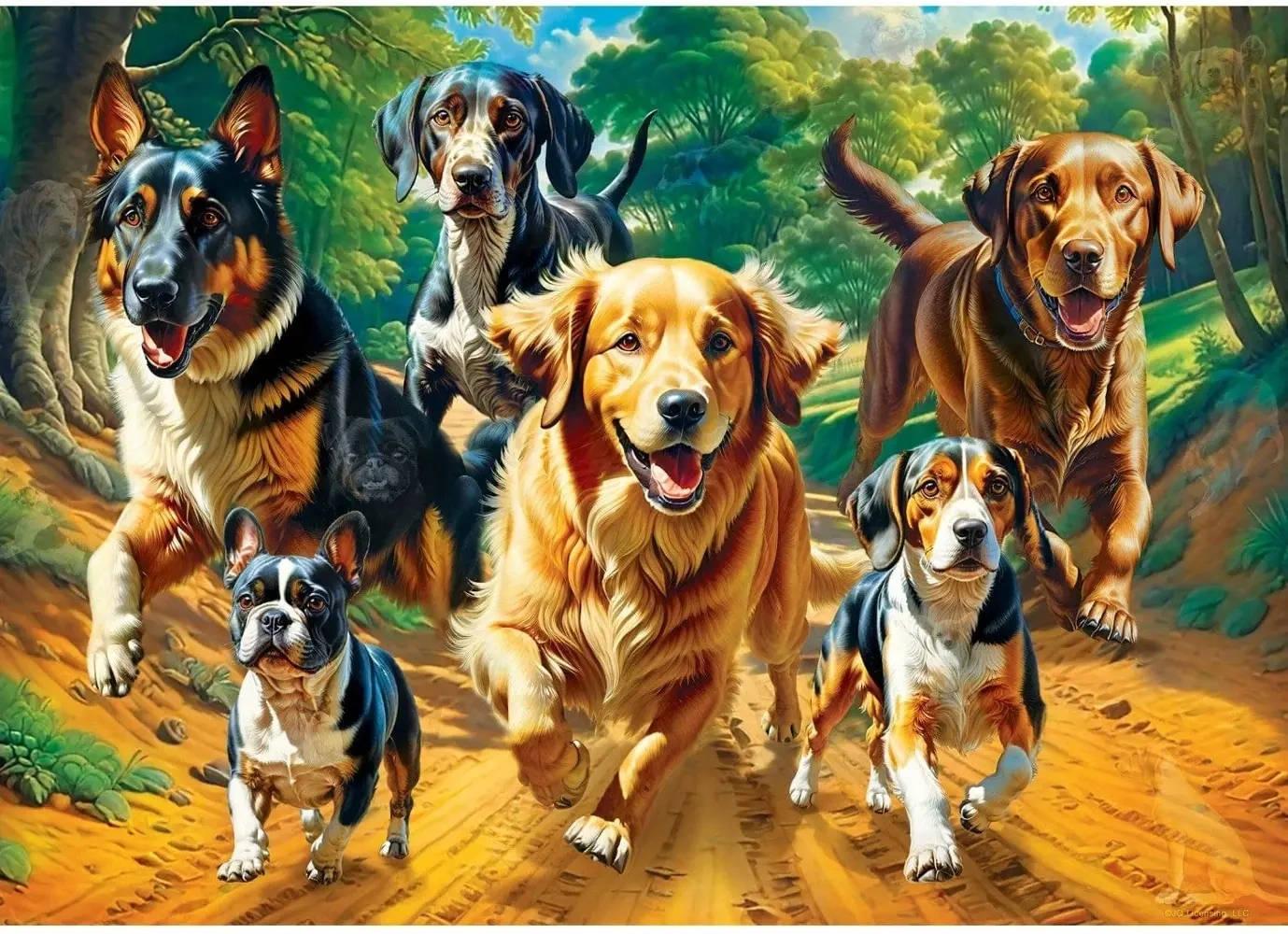 Hidden Images - Trailrunning - Glow in the Dark