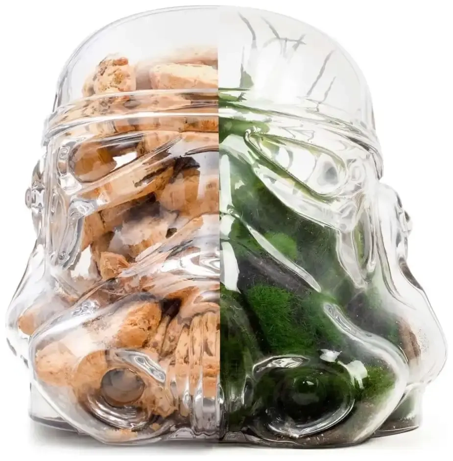Original Stormtrooper Vorratsdose / Terrarium Trooper