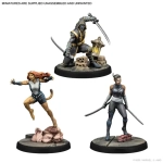 Marvel: Crisis Protocol – Echo, Ronin & Tigra