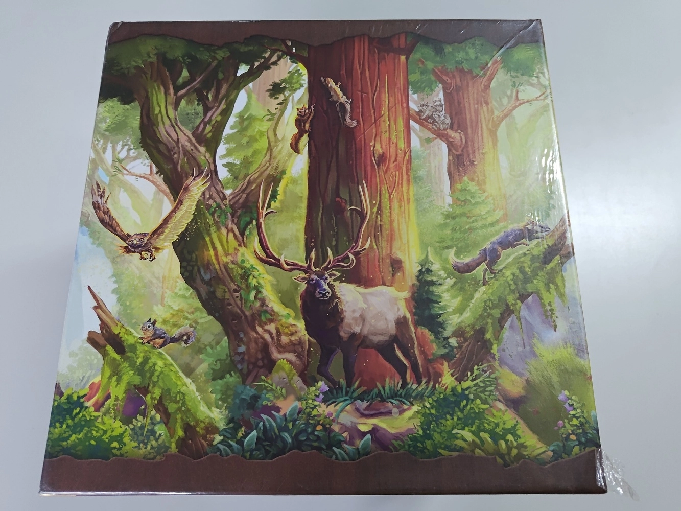 REDWOOD Big Box all-in - EN (Defekte Verpackung)