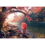 Sunrise in Katsura River - Japan