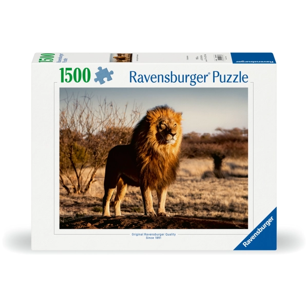 Der Löwe - Der König der Tiere