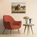 Der Löwe - Der König der Tiere