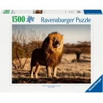 Der Löwe - Der König der Tiere